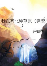 红楼之金钗图鉴